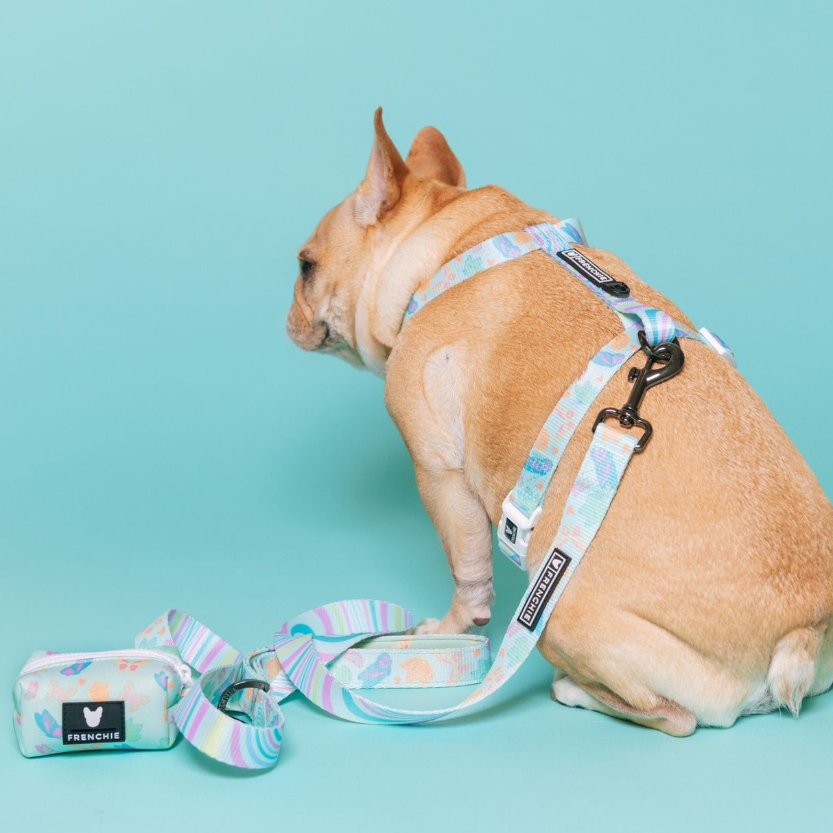 Frenchie Comfort Leash - Pastel Butterfly from Frenchie Bulldog