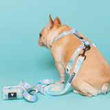 Frenchie Comfort Leash - Pastel Butterfly from Frenchie Bulldog