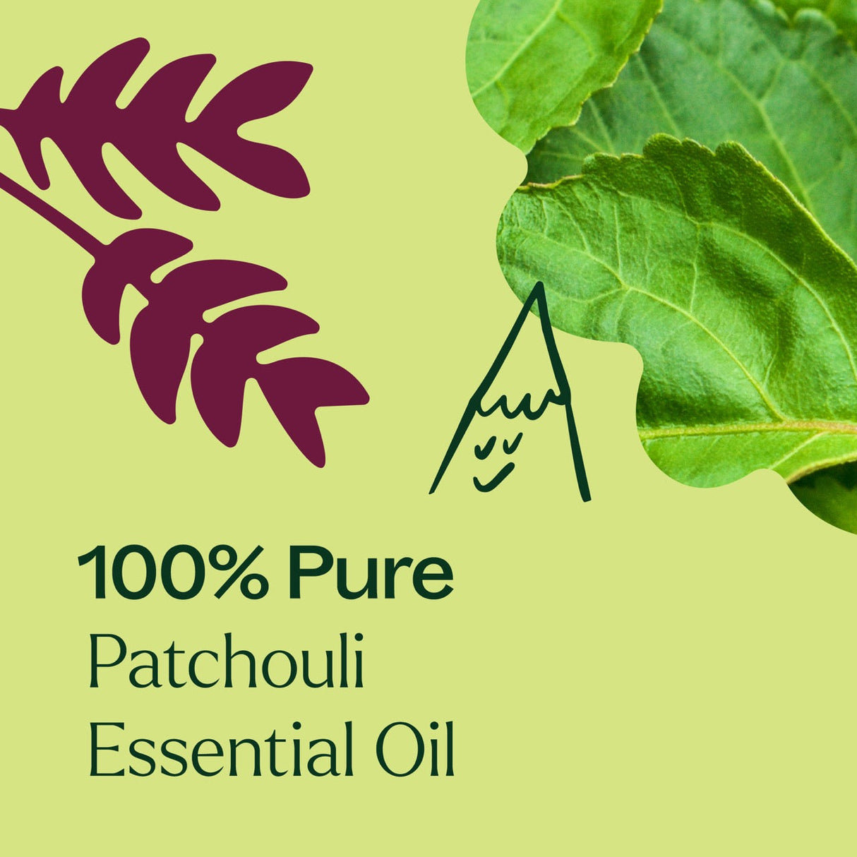 Patchouli Essential Oil from Plant Therapy