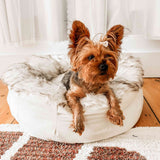 PupPouf™ Faux Fur Donut Dog Bed - White with Brown Accents from Paw.com