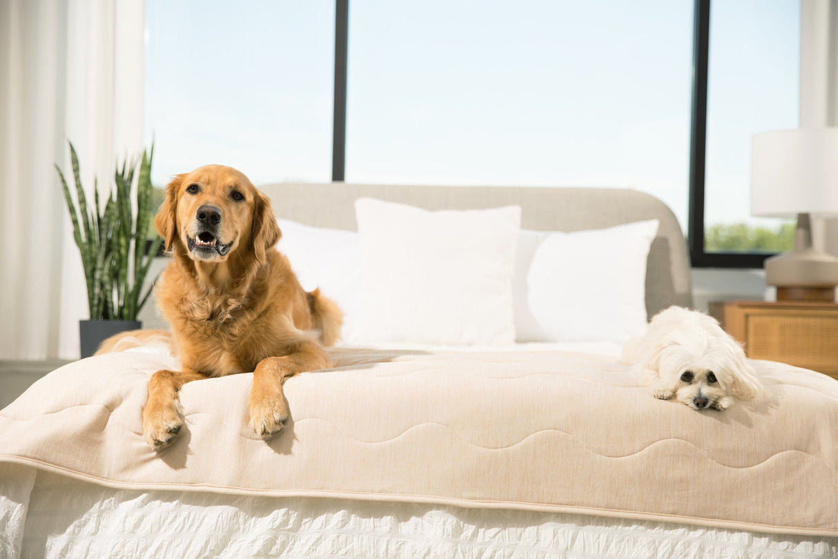 PupChill™ Cooling Waterproof Runner Blanket - Arctic Sand from Paw.com