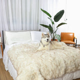 PupProtector™ Waterproof Throw Blanket - White with Brown Accents from Paw.com
