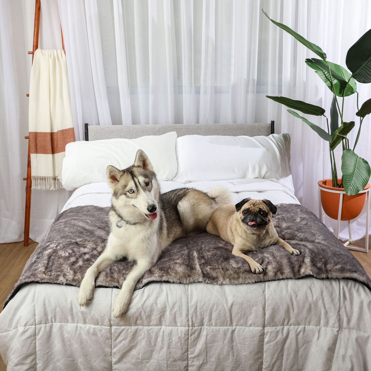 PupProtector™ Luxe Waterproof Bed Runner - Ultra Soft Chinchilla from Paw.com