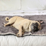 PupProtector™ Luxe Waterproof Bed Runner - Ultra Soft Chinchilla from Paw.com