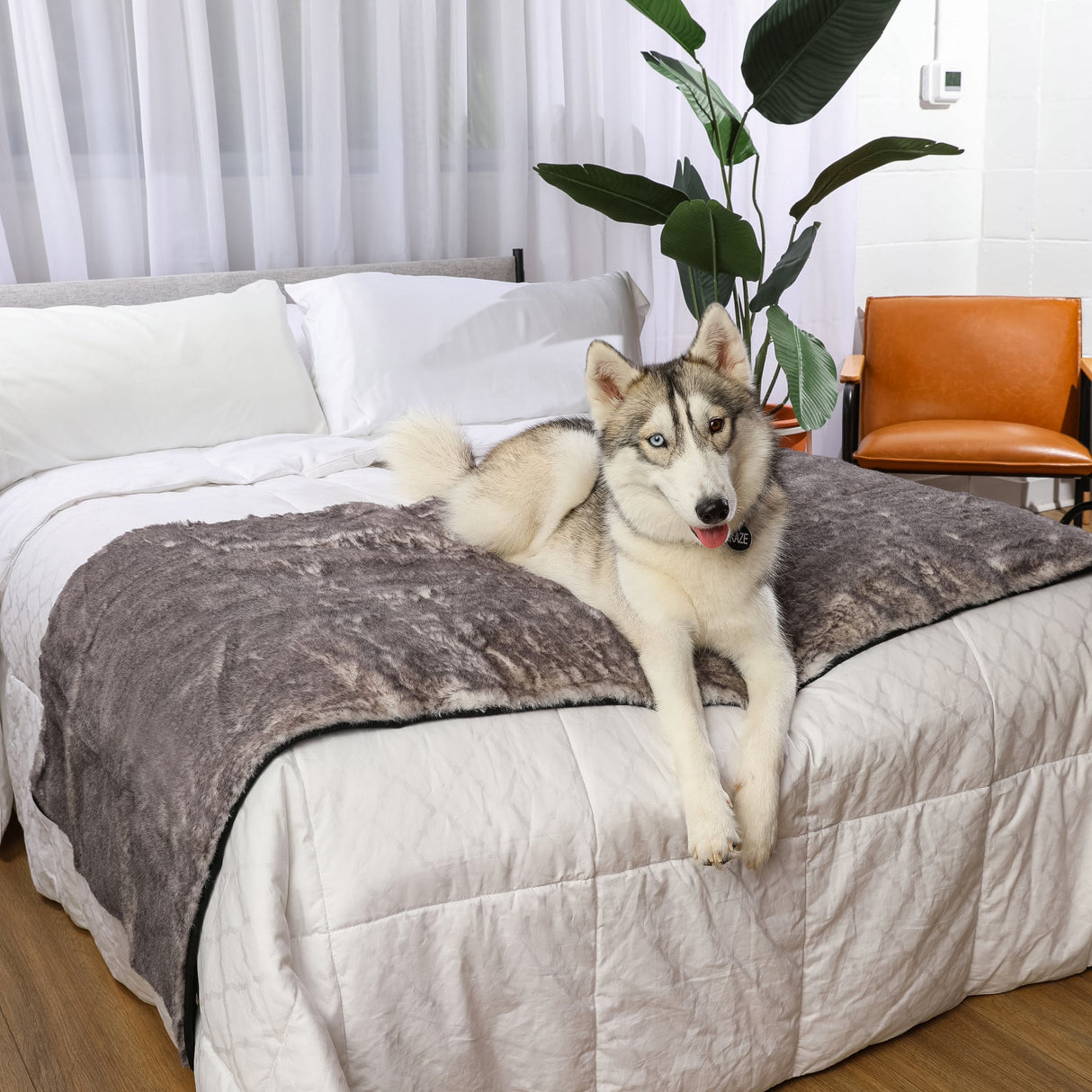 PupProtector™ Luxe Waterproof Bed Runner - Ultra Soft Chinchilla from Paw.com