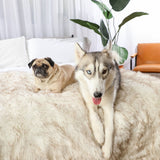 PupProtector™ Waterproof Throw Blanket - White with Brown Accents from Paw.com