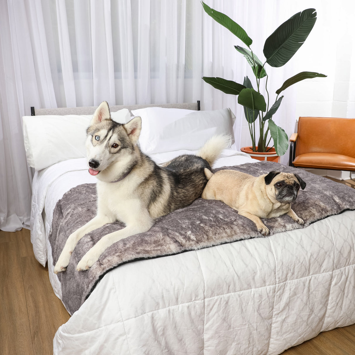 PupProtector™ Luxe Waterproof Bed Runner - Ultra Soft Chinchilla from Paw.com
