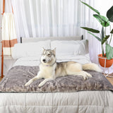 PupProtector™ Luxe Waterproof Bed Runner - Ultra Soft Chinchilla from Paw.com