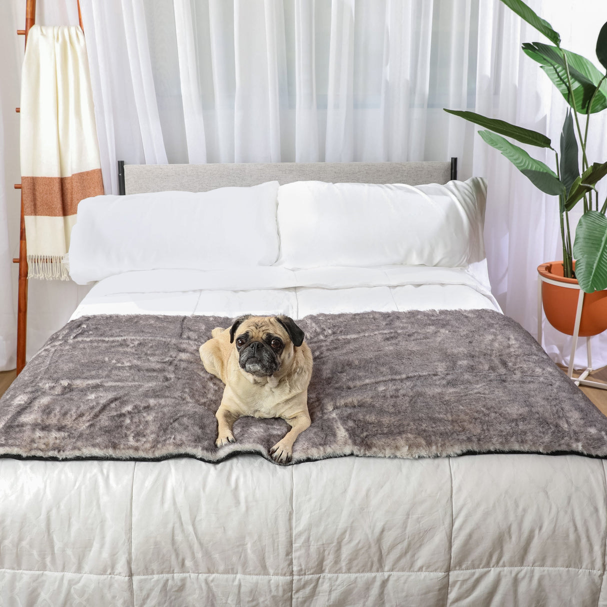 PupProtector™ Luxe Waterproof Bed Runner - Ultra Soft Chinchilla from Paw.com