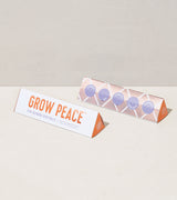 Bright Side Seed Balls from Modern Sprout