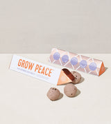 Bright Side Seed Balls from Modern Sprout