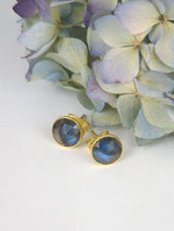 Pebble Stud Earrings - Gold from Ash & Rose
