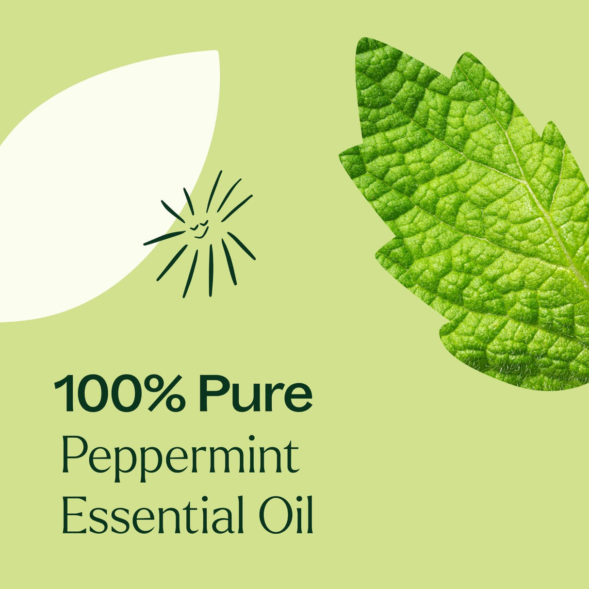 Peppermint Essential Oil from Plant Therapy