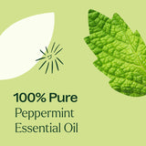 Peppermint Essential Oil from Plant Therapy