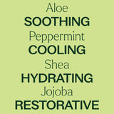 Peppermint Body Lotion with Aloe and Shea from Plant Therapy