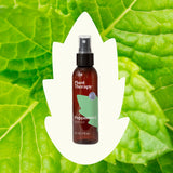 Peppermint Hydrosol From Plant Therapy