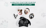 BeNat Pets. All-Natural Pet Shampoo Bar. Oat. 5.8 oz. from BeNat