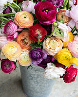 Petals for Me From Pink Picasso Kits