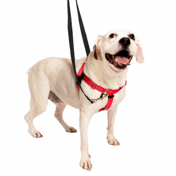 Red Freedom No-Pull Dog Harness from 2 Hounds Design