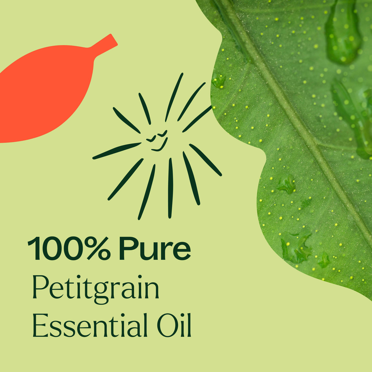 Petitgrain Essential Oil from Plant Therapy