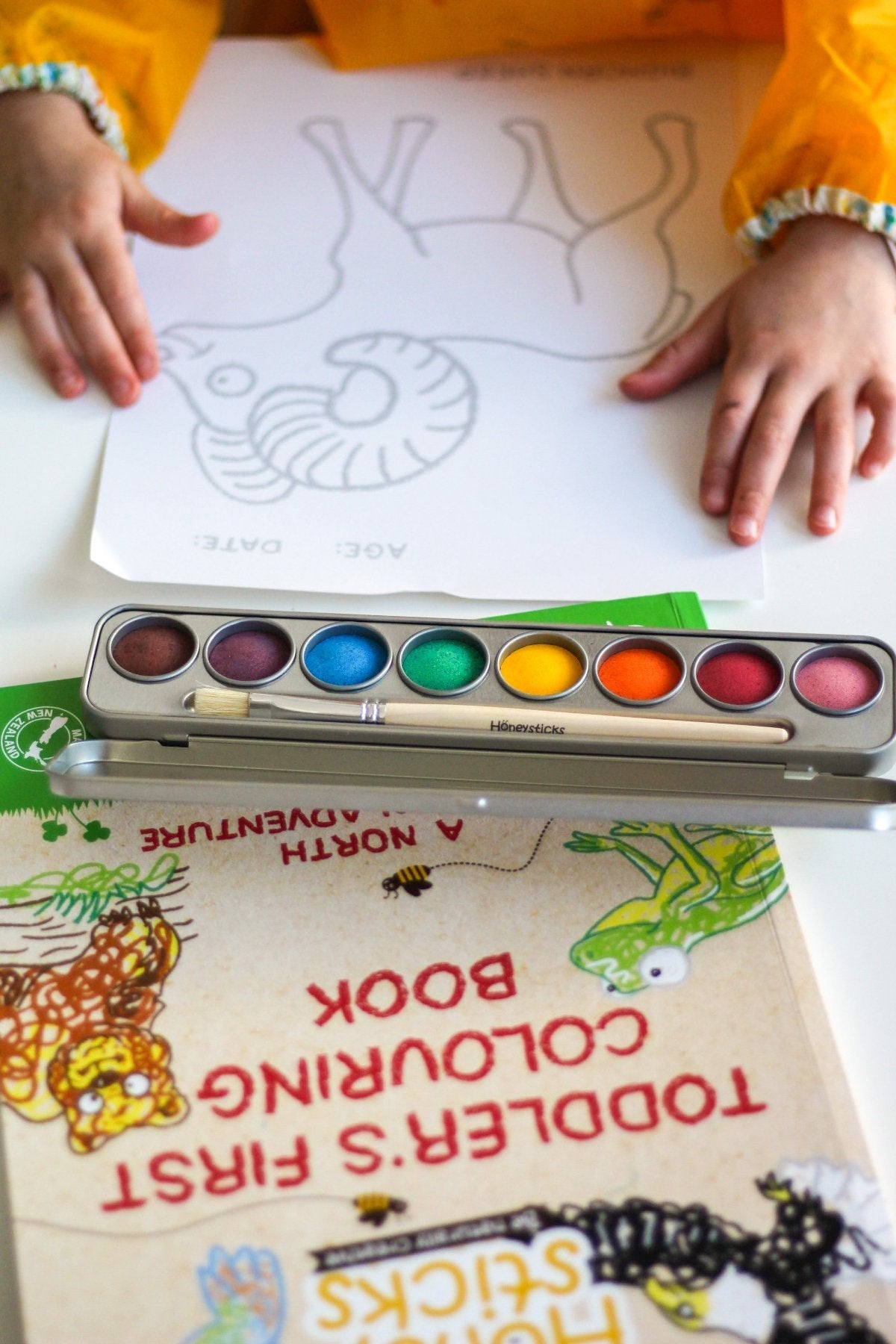 Toddlers First Coloring Book - A North American Adventure from Honeysticks USA