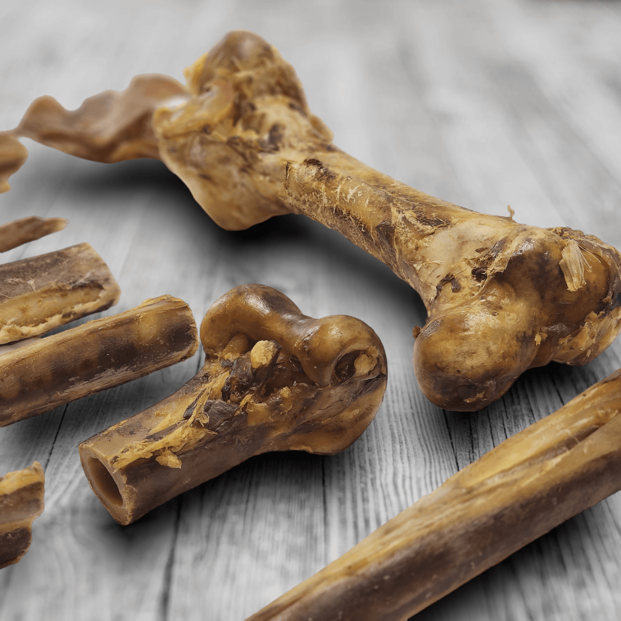 Ostrich Knuckle (Medium – 4" x 3"): The Perfect Chew for Small to Medium Dogs & Sensitive Stomachs from Savannah Pet Food