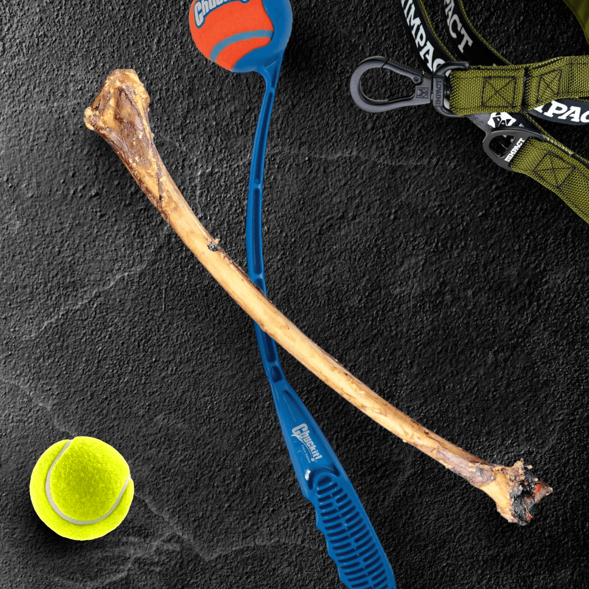 Ostrich Wing Bone (13" x 1.5"): The Ultimate Long-Lasting Chew for Small Dogs & Light Chewers from Savannah Pet Food