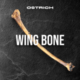 Ostrich Wing Bone (13" x 1.5"): The Ultimate Long-Lasting Chew for Small Dogs & Light Chewers from Savannah Pet Food