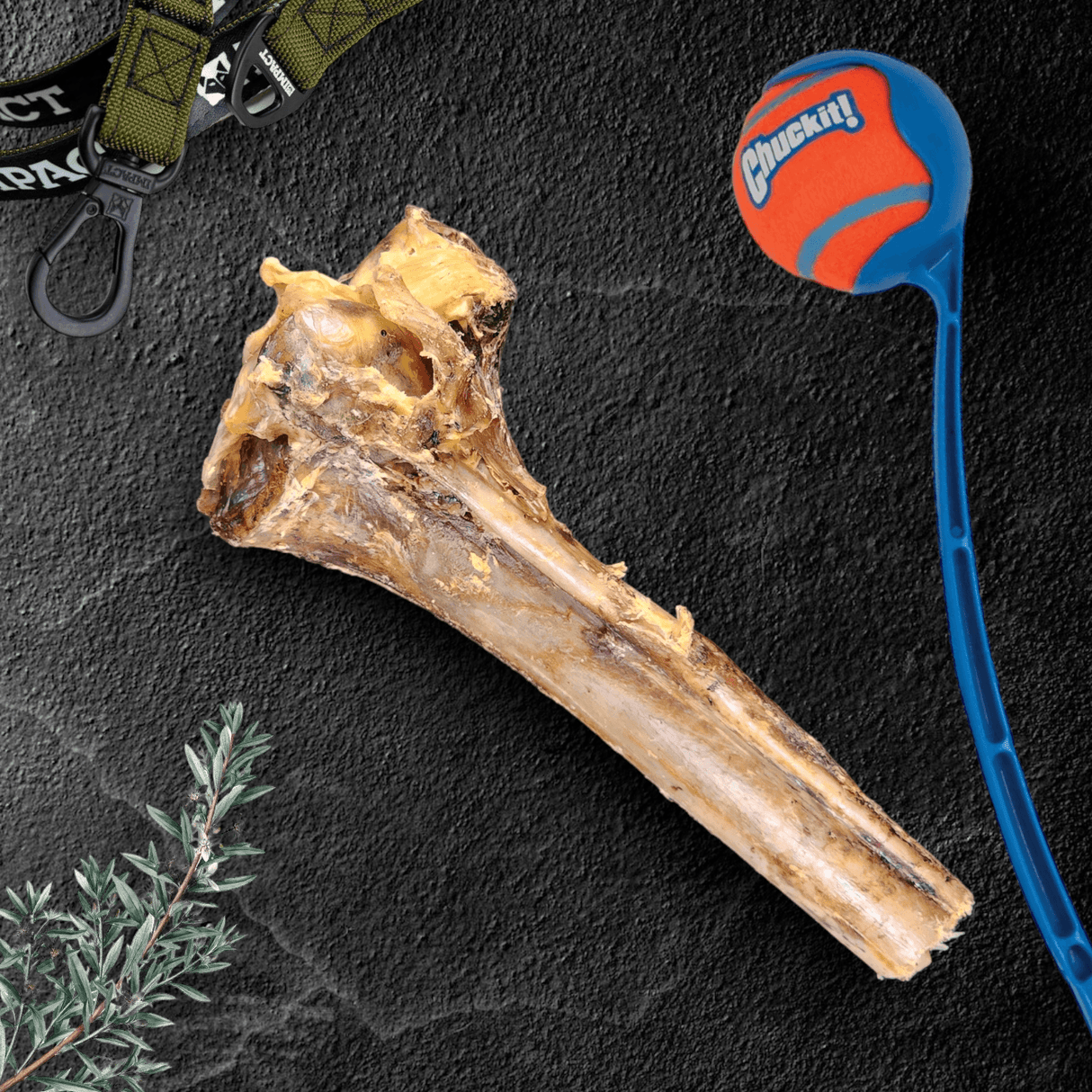 Large Ostrich Cane (11.5" x 5"): The Ultimate Long-Lasting Chew for Medium, Large & XL Dogs from Savannah Pet Food