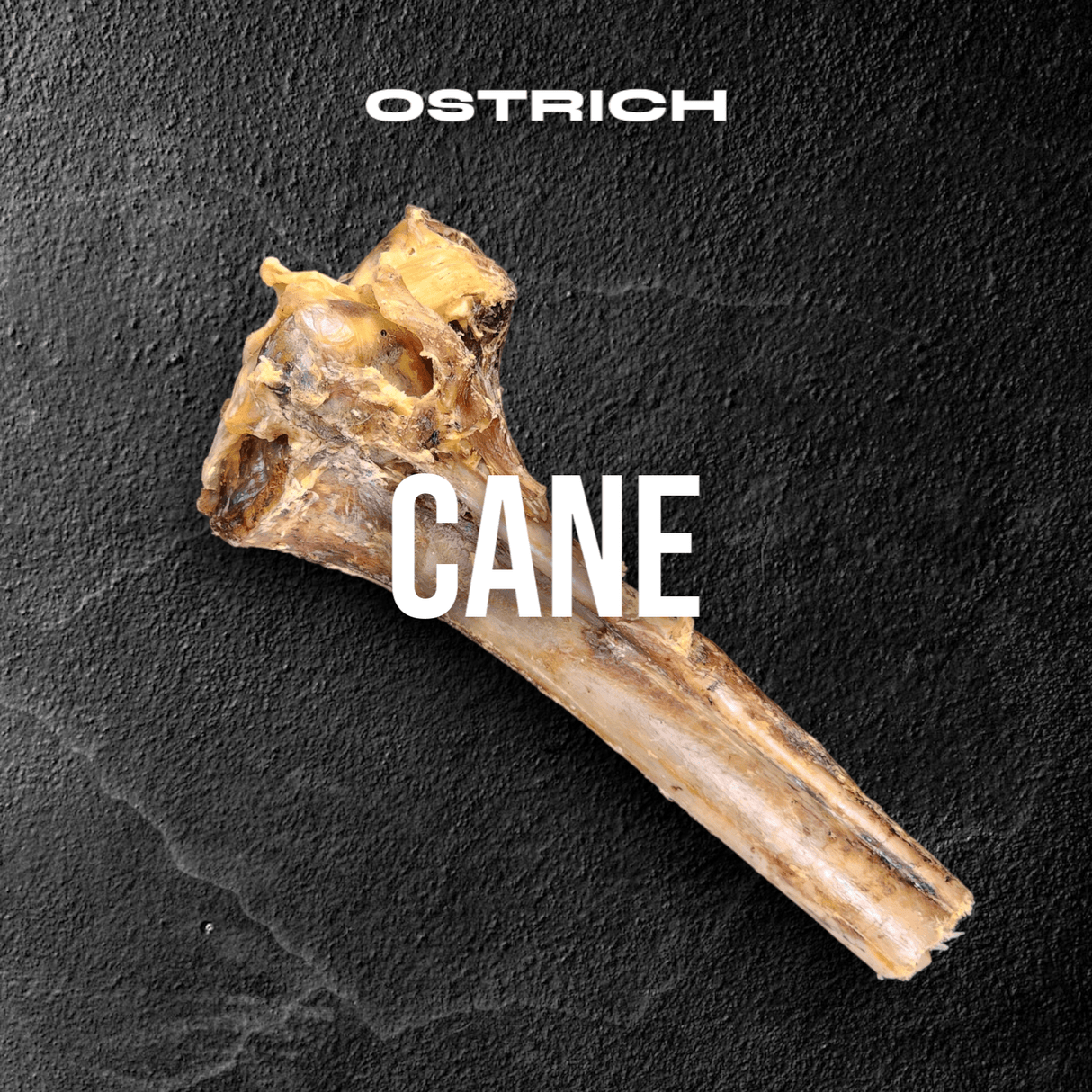 Large Ostrich Cane (11.5" x 5"): The Ultimate Long-Lasting Chew for Medium, Large & XL Dogs from Savannah Pet Food
