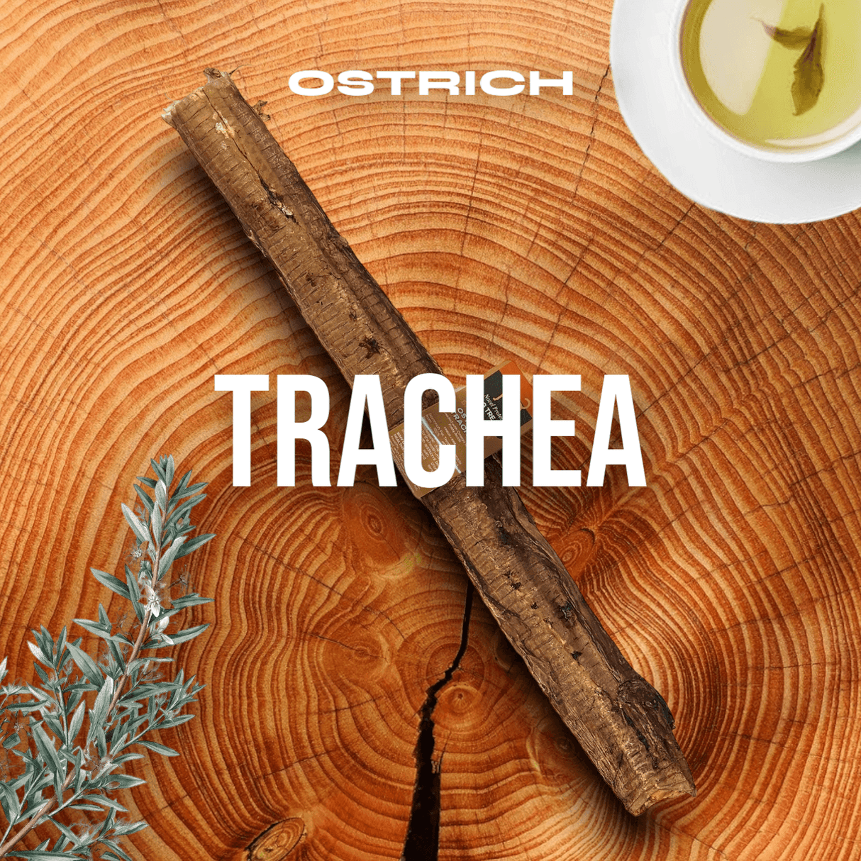 Crunchy Ostrich Trachea Whole. Light-weight, Natural Dog Chew Treat from Savannah Pet Food
