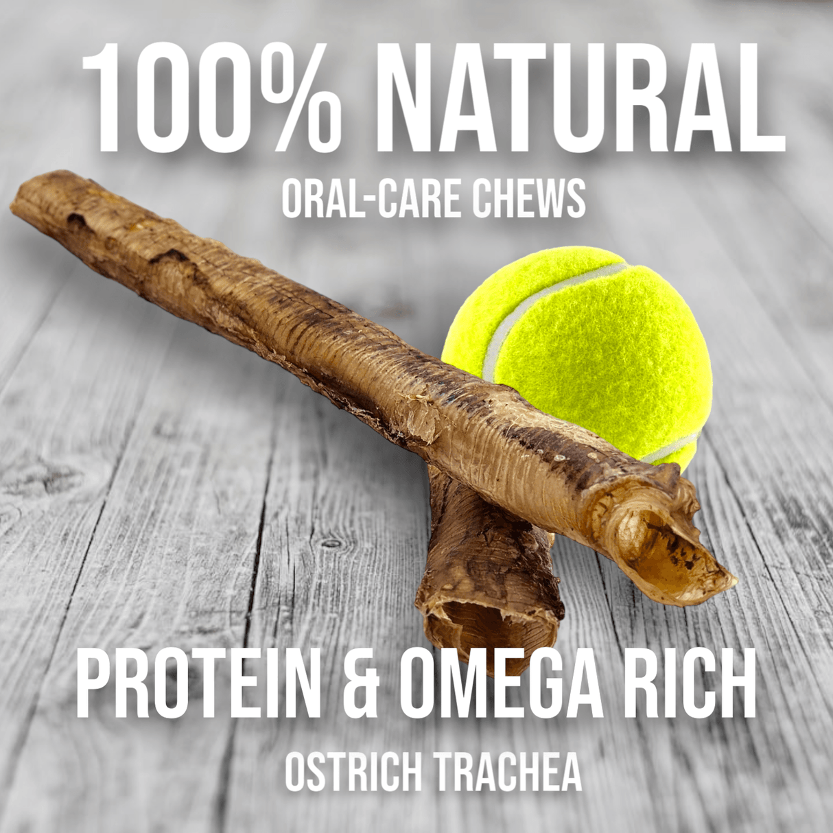 Crunchy Ostrich Trachea Whole. Light-weight, Natural Dog Chew Treat from Savannah Pet Food