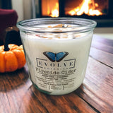 Rocks Candle - Fireside Cider (Wood Wick Carnelian & Tigers Eye Gemstone Soy Candle)  from Evolve Botanica
