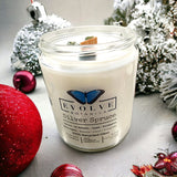 Classic 9oz Jam Jar Crystal Soy Candle - Silver Spruce (Moss Agate) from Evolve Botanica