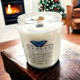 Classic 9oz Jam Jar Crystal Soy Candle - Silver Spruce (Moss Agate) from Evolve Botanica