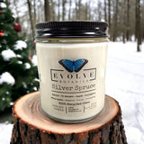 Classic 9oz Jam Jar Crystal Soy Candle - Silver Spruce (Moss Agate) from Evolve Botanica