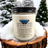 Classic 9oz Jam Jar Crystal Soy Candle - Silver Spruce (Moss Agate) from Evolve Botanica