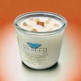 Rocks Candle - Gingersnapped (Wood Wick Gold Rutilated Quartz Gemstone Soy Candle) from Evolve Botanica