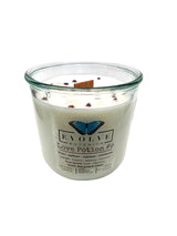 Rocks Candle - Love Potion #9 (Wood Wick Garnet & Rose Quartz Gemstone Soy Candle) from Evolve Botanica