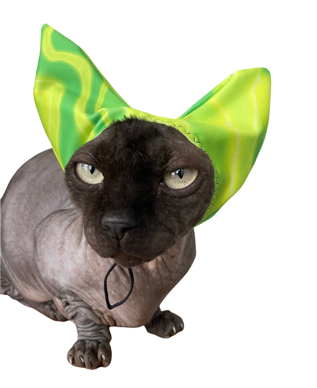 4-ALL PETS SHOWER / EAR / SUN CAP! from ReNewedPet