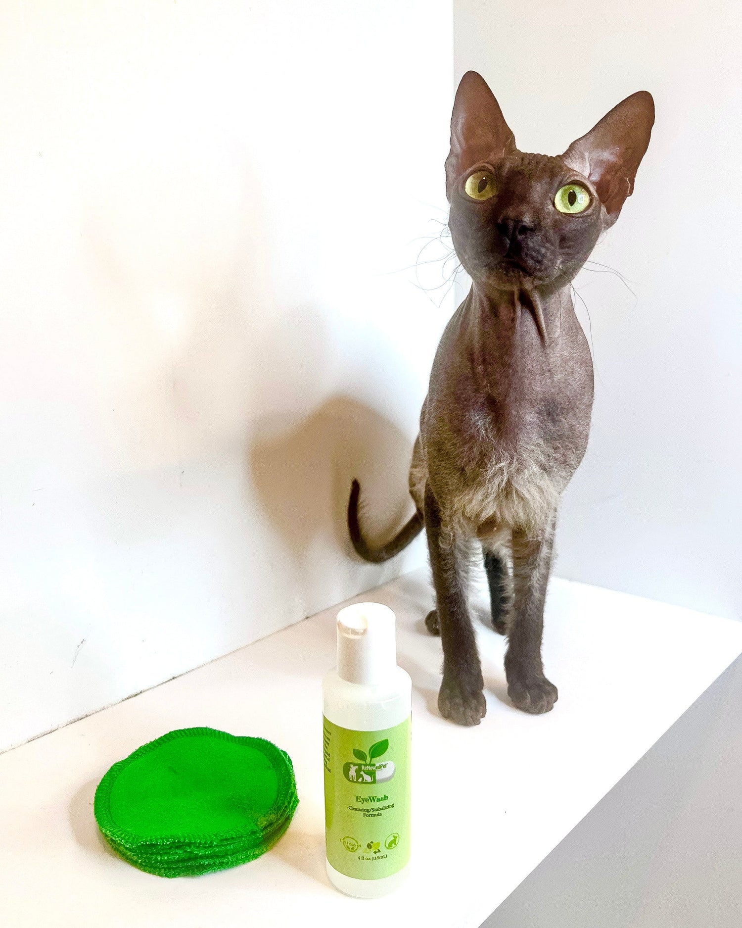 4-ALL PETS EYEWASH from ReNewedPet