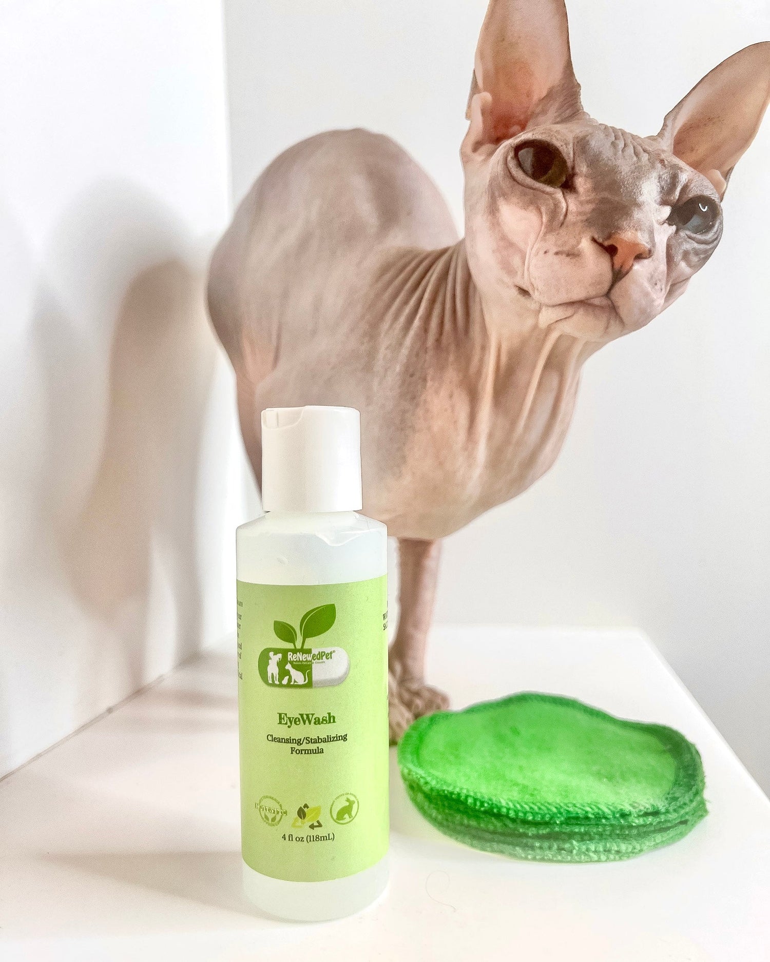 4-ALL PETS EYEWASH from ReNewedPet