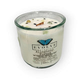 Rocks Candle - Allegheny Forest (Wood Wick Serpentine & Prehnite Gemstone Soy Candle) from Evolve Botanica