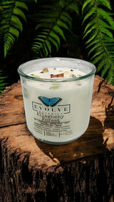 Rocks Candle - Allegheny Forest (Wood Wick Serpentine & Prehnite Gemstone Soy Candle) from Evolve Botanica