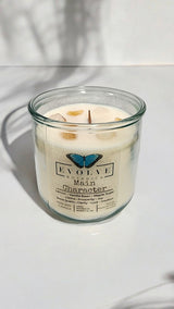 Rocks Candle - Main Character (Wood Wick Citrine & Snow Quartz Gemstone Soy Candle) from Evolve Botanica