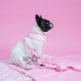 Frenchie Duo Reversible Harness - Pink Bubblegum from Frenchie Bulldog