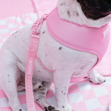 Frenchie Duo Reversible Harness - Pink Bubblegum from Frenchie Bulldog