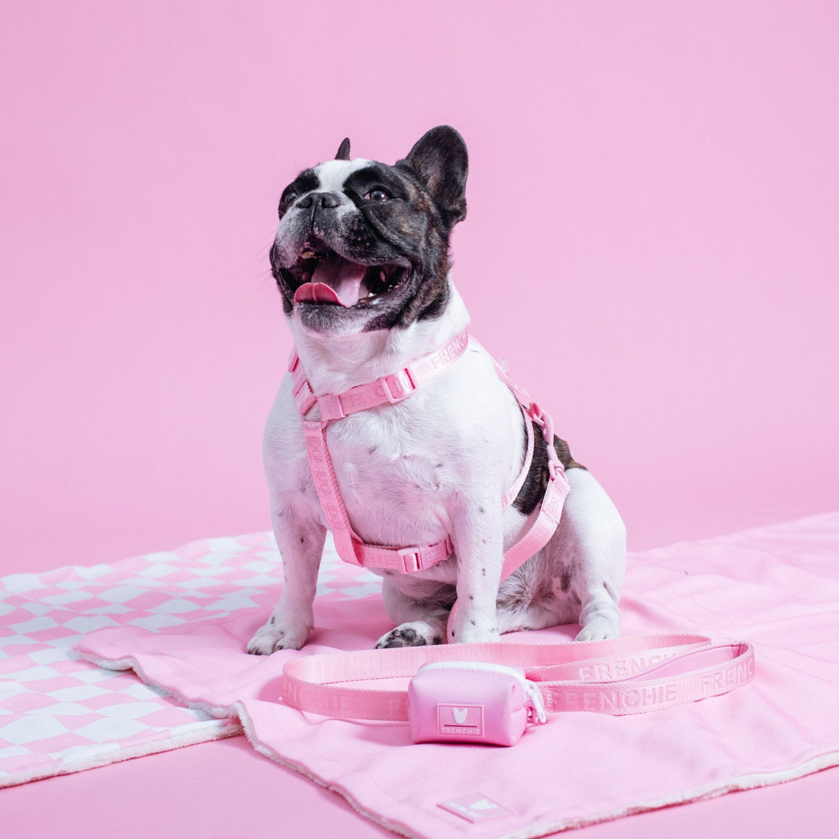 Frenchie Strap Harness - Pink Bubblegum from Frenchie Bulldog