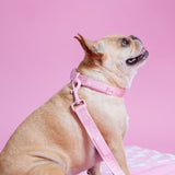 Frenchie Comfort Leash - Pink Bubblegum from Frenchie Bulldog