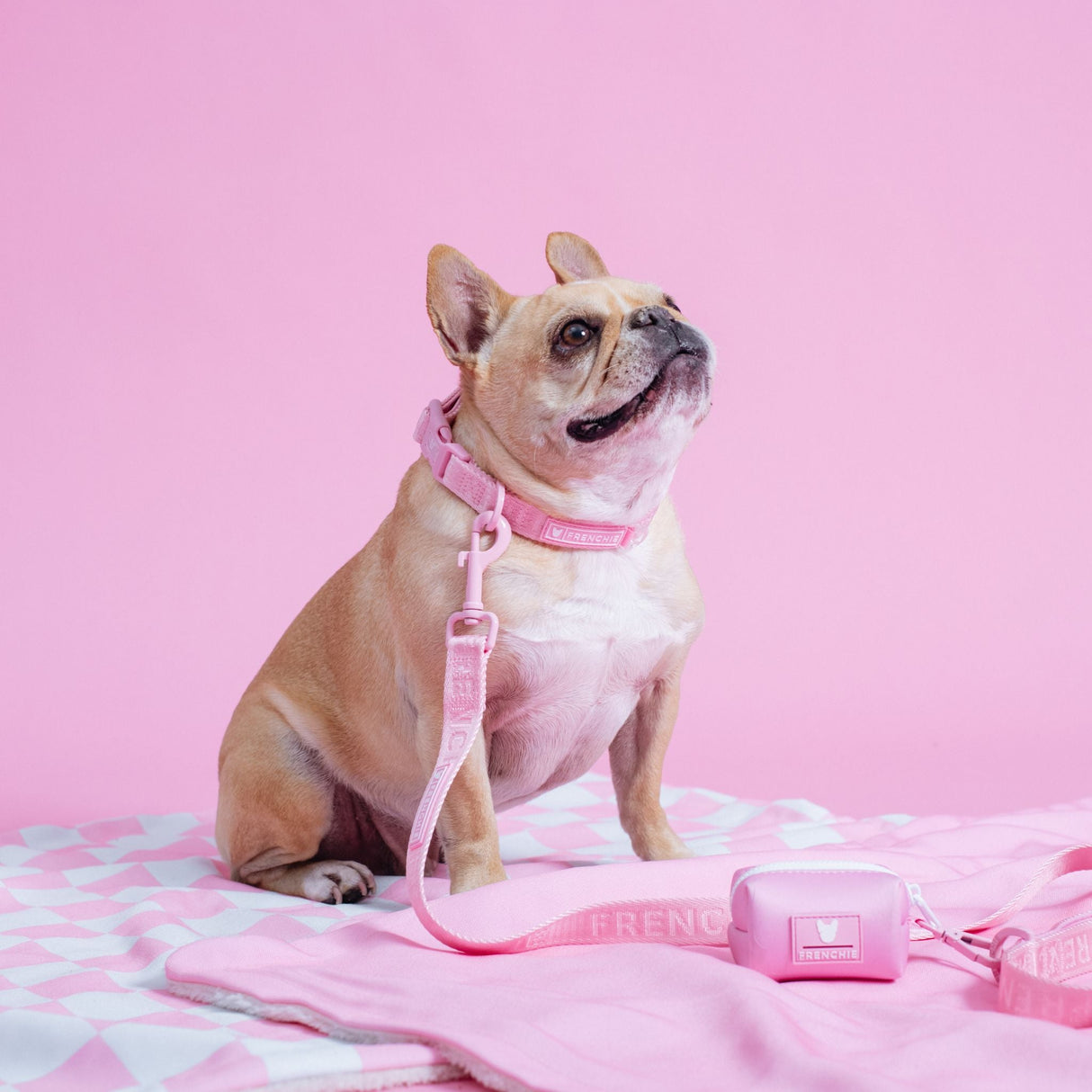 Frenchie Poo Bag Holder - Pink Bubblegum from Frenchie Bulldog